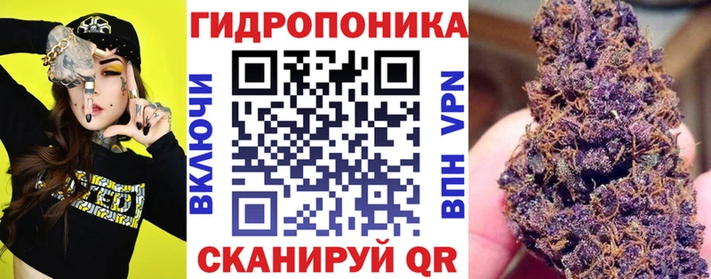 Купить закладки  Ростов  МАРИХУАНА конопля 